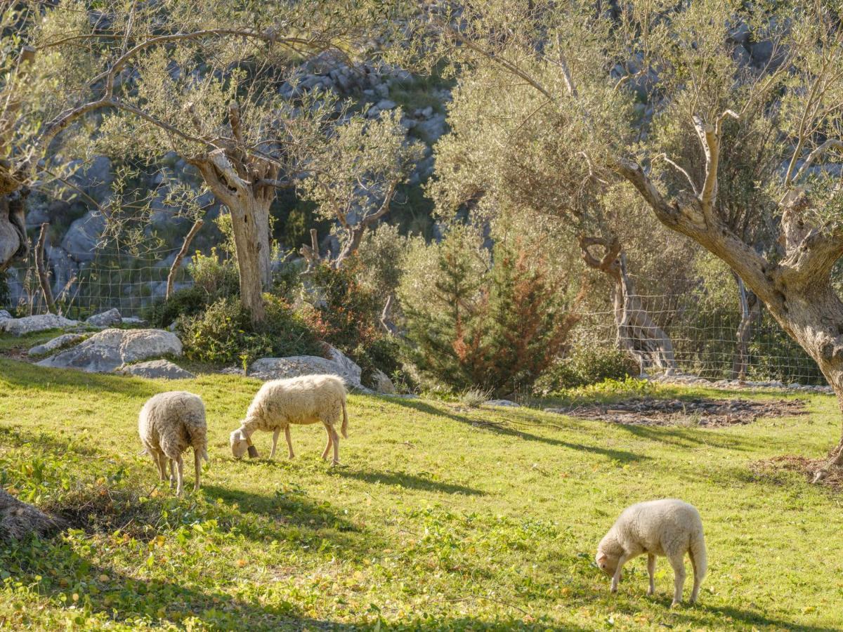 Casa rural Muleta De Ca S'hereu Puerto de Sóller
