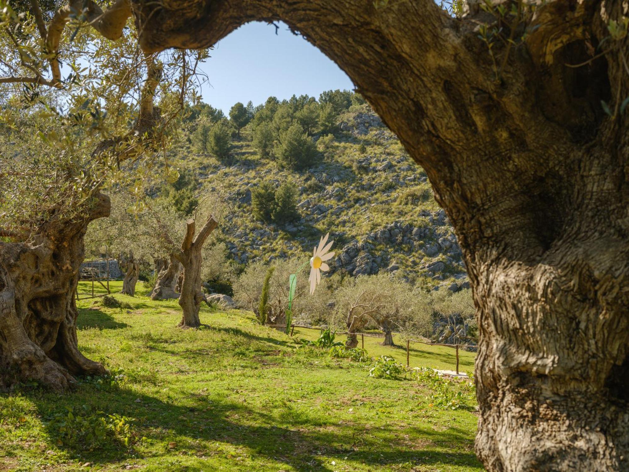Casa rural Muleta De Ca S'hereu Puerto de Sóller