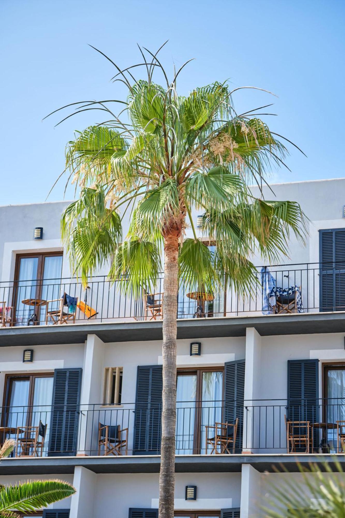Boutique Bon Repos - Adults Only Santa Ponsa