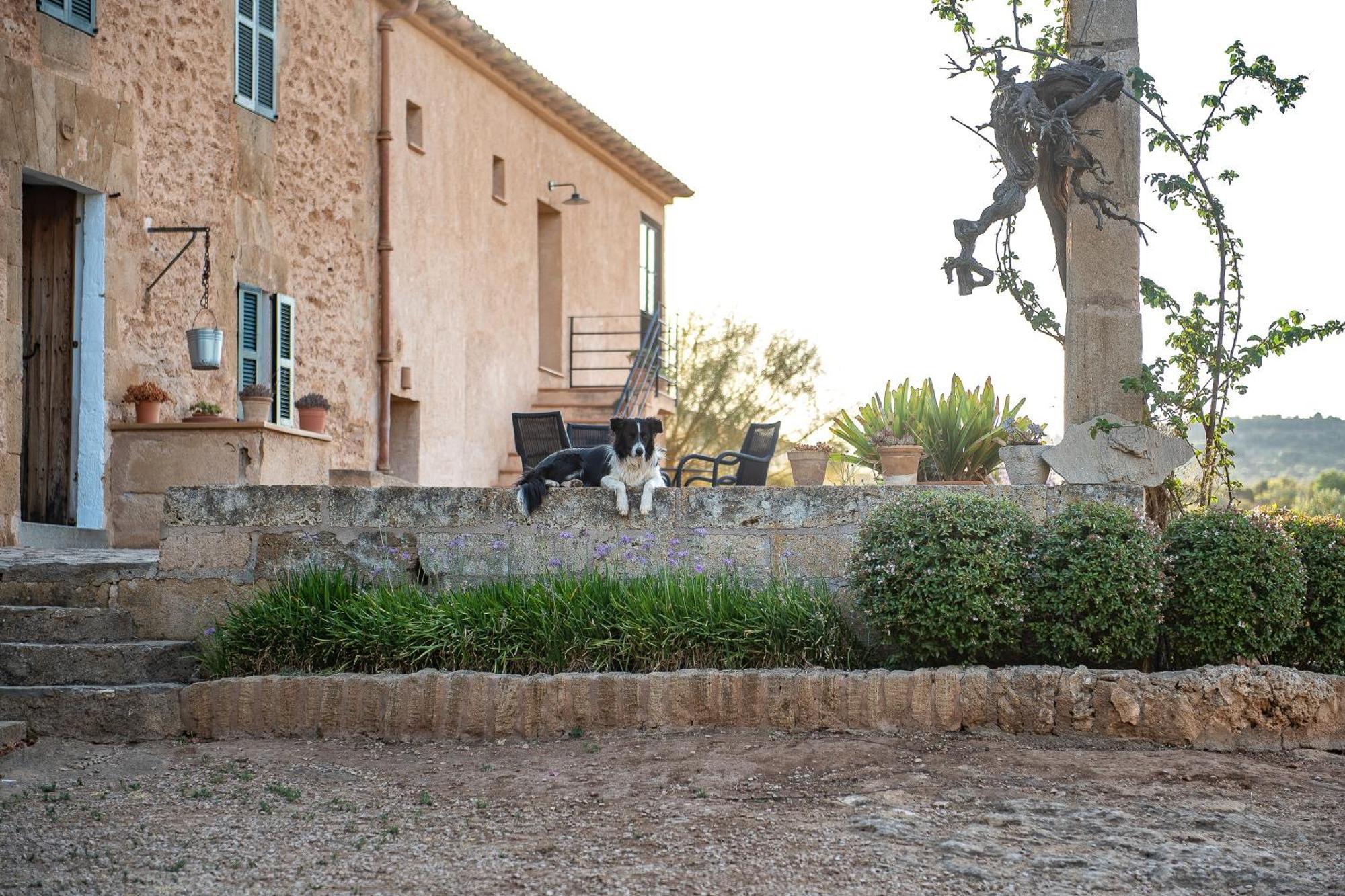 Country house Sos Ferres D'en Morey *