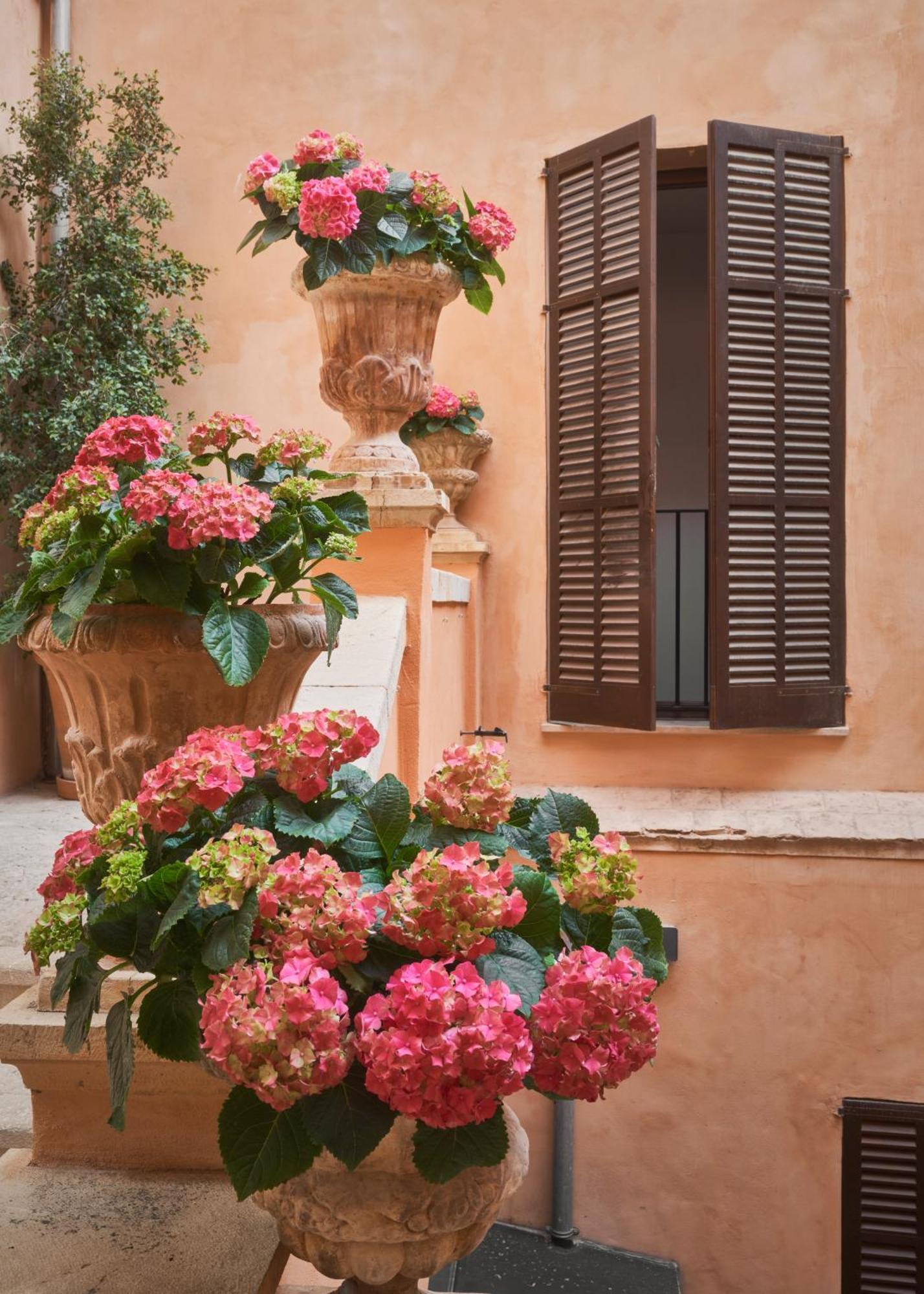 Hotel Boutique Terra Santa Palma de Mallorca