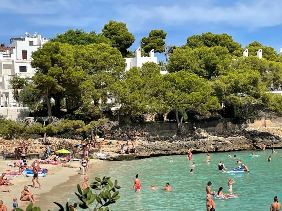 Apartamento Playa D'or 16 / / Mallorca