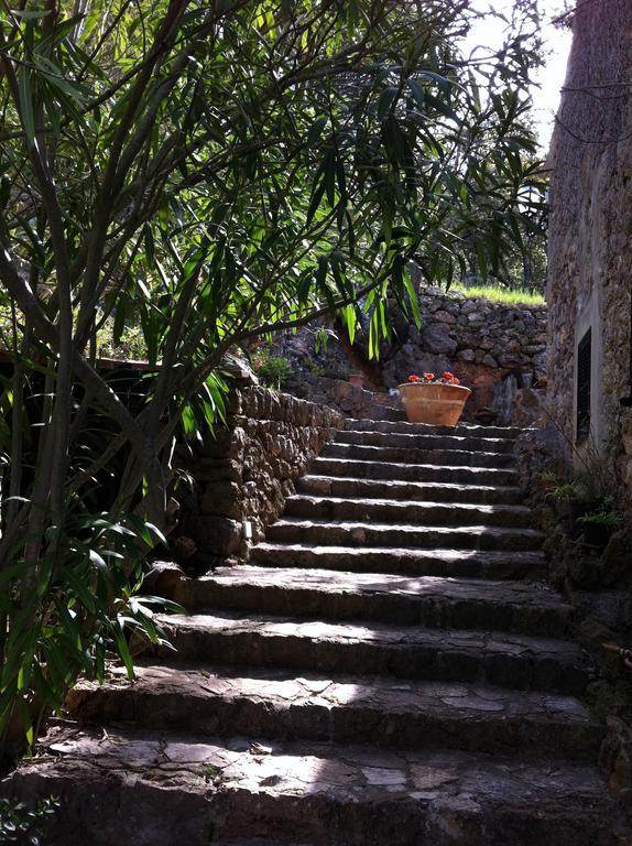 Sa Capsana Villa Valldemossa (Mallorca)