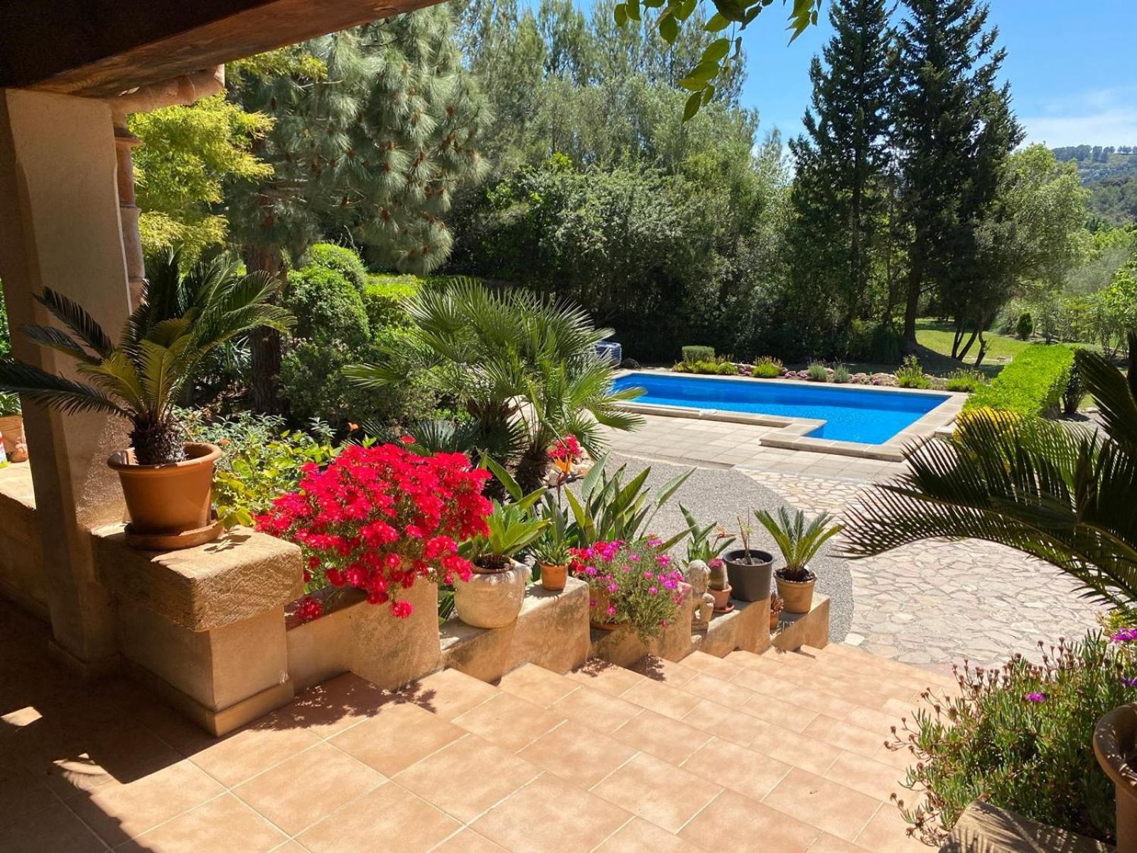 Puig By Js Villa Pollensa