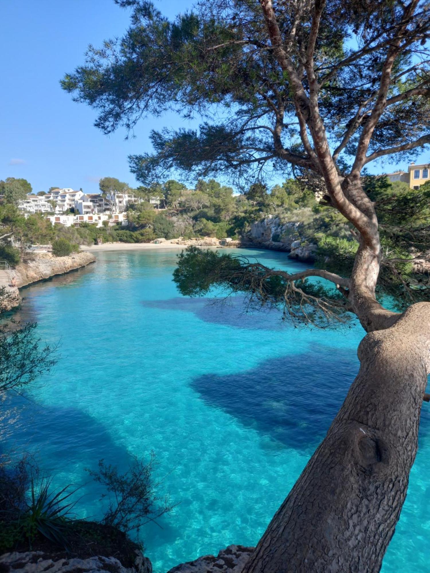Ferrera Park Vue Apartamento Cala Ferrera (Mallorca)
