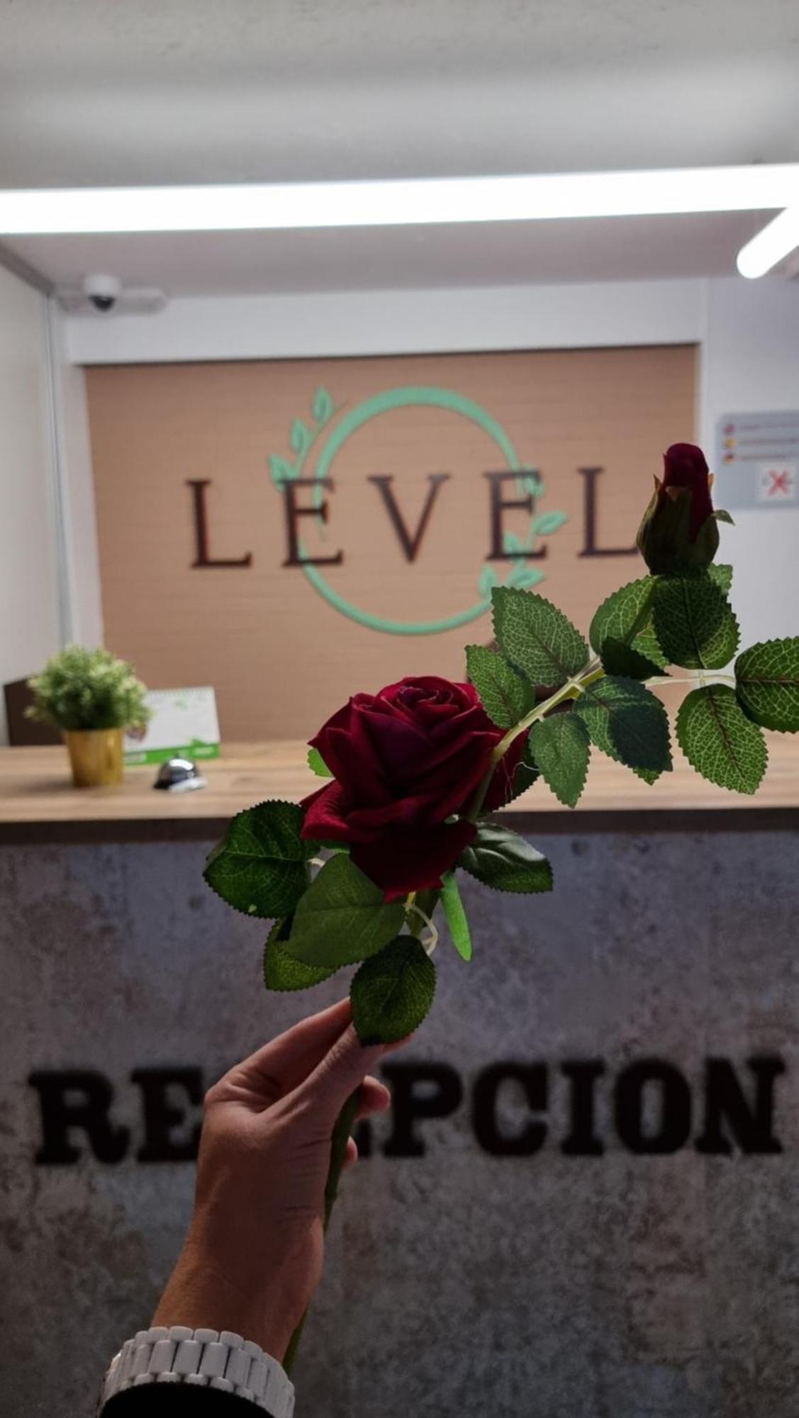 Level Mallorca - Living 3*