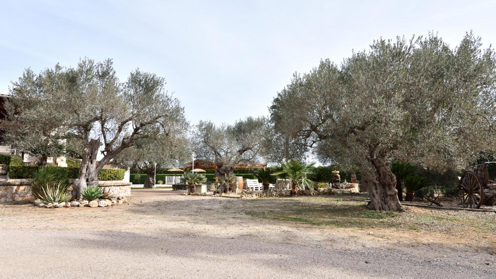 Sa Tanca Gran * Sineu (Mallorca)