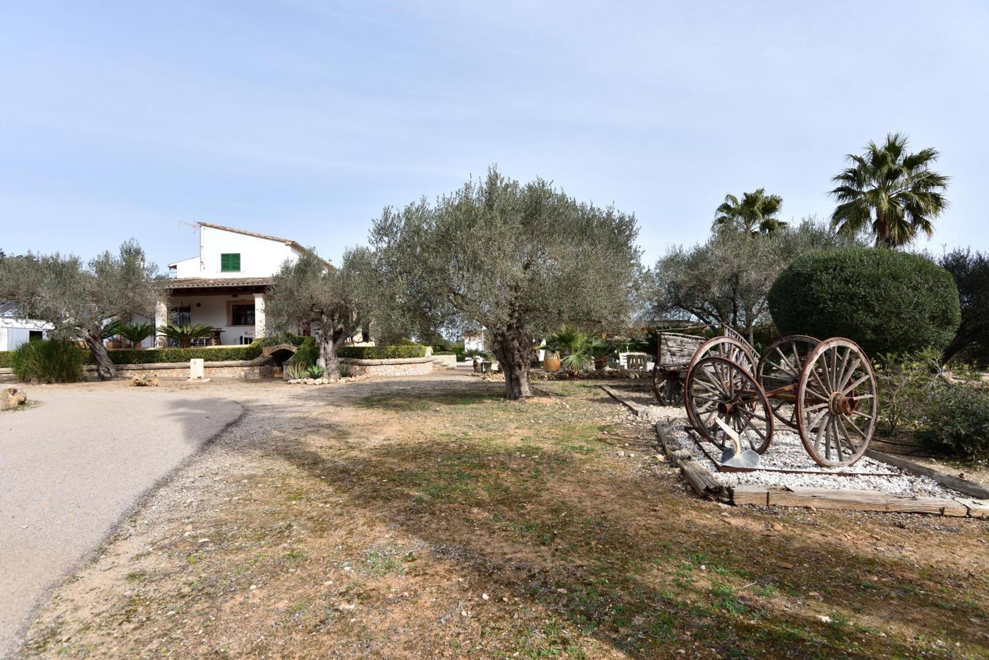 Sa Tanca Gran * Sineu (Mallorca)