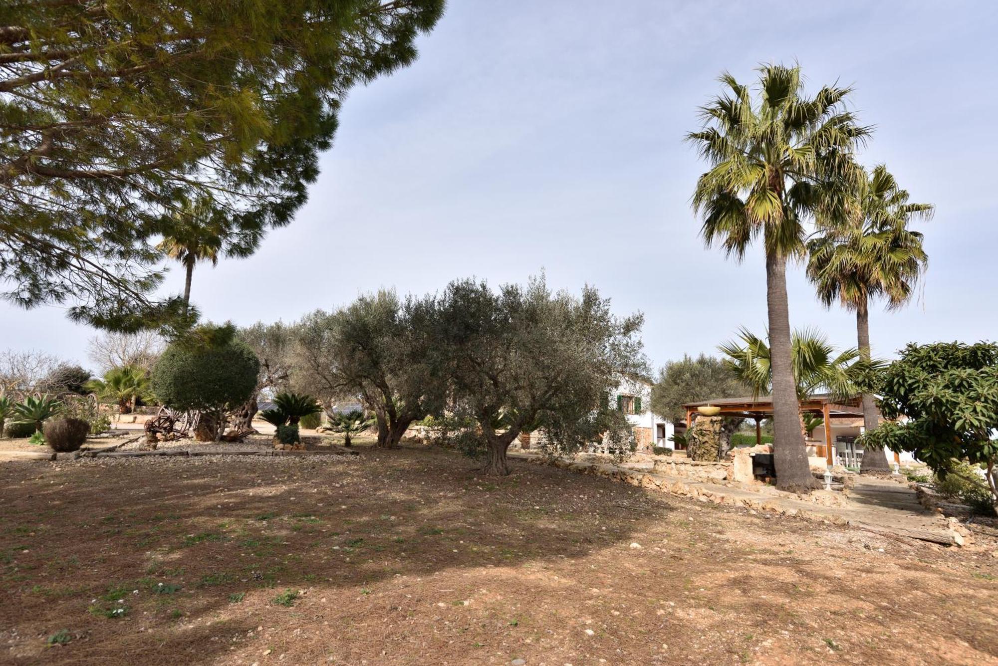 Villa Sa Tanca Gran *