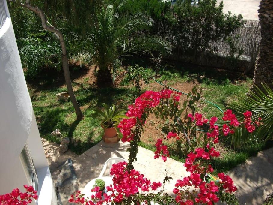 Apartamento Familia *