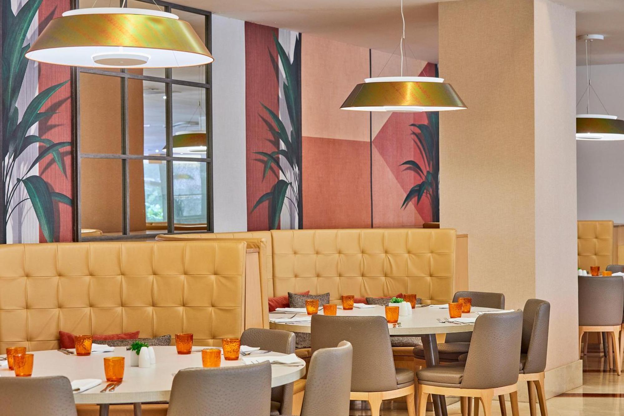 Zafiro Tropic 4* Puerto de Alcúdia