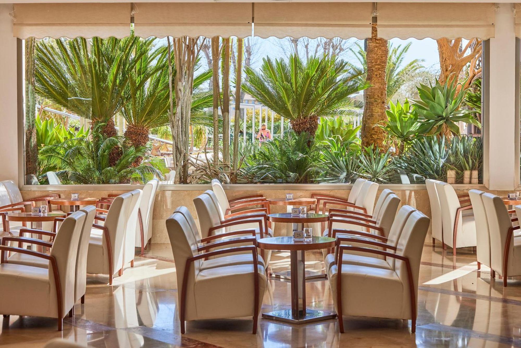 Zafiro Tropic 4* Puerto de Alcúdia