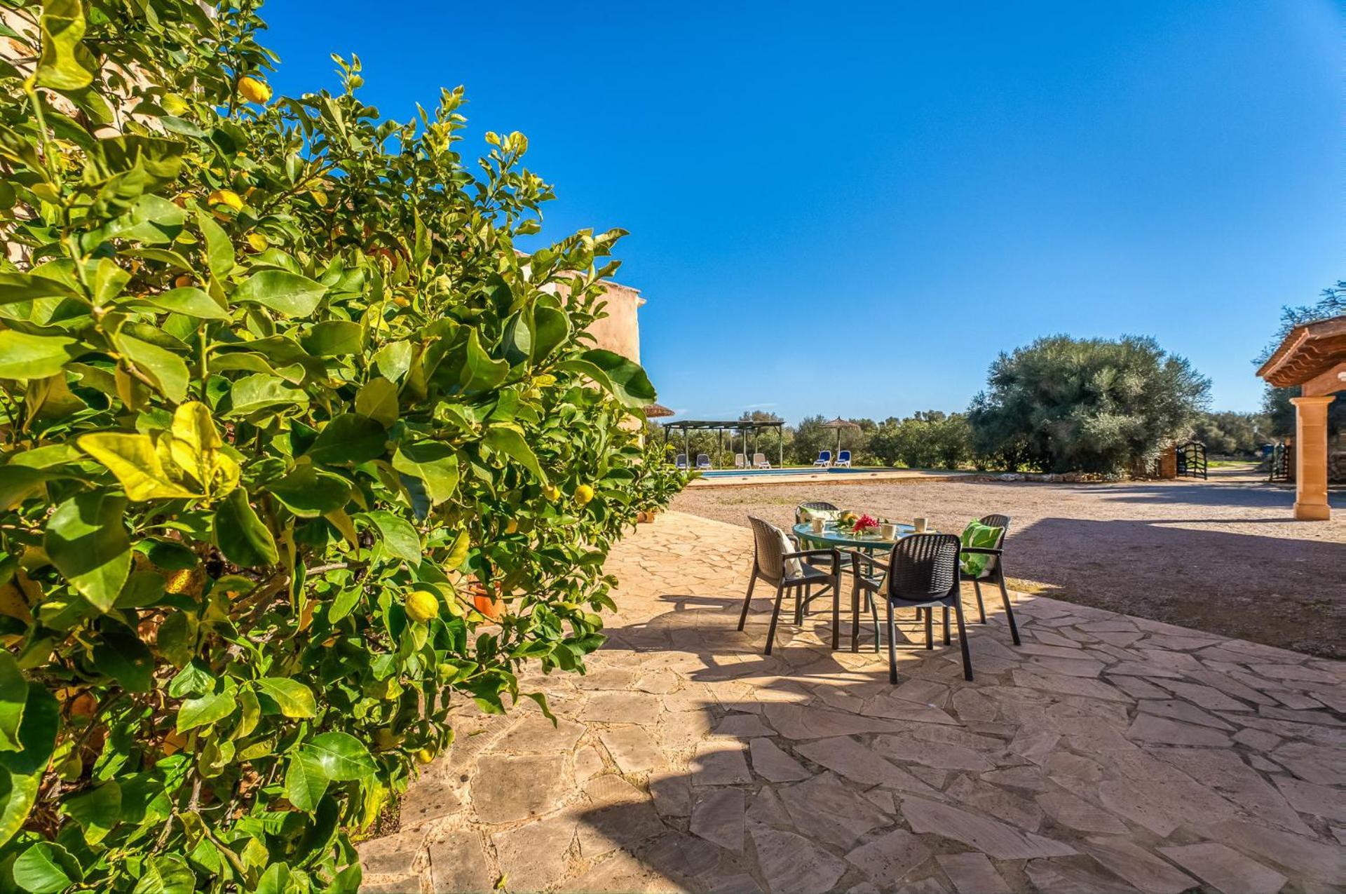 Ideal Mallorca - Xim *