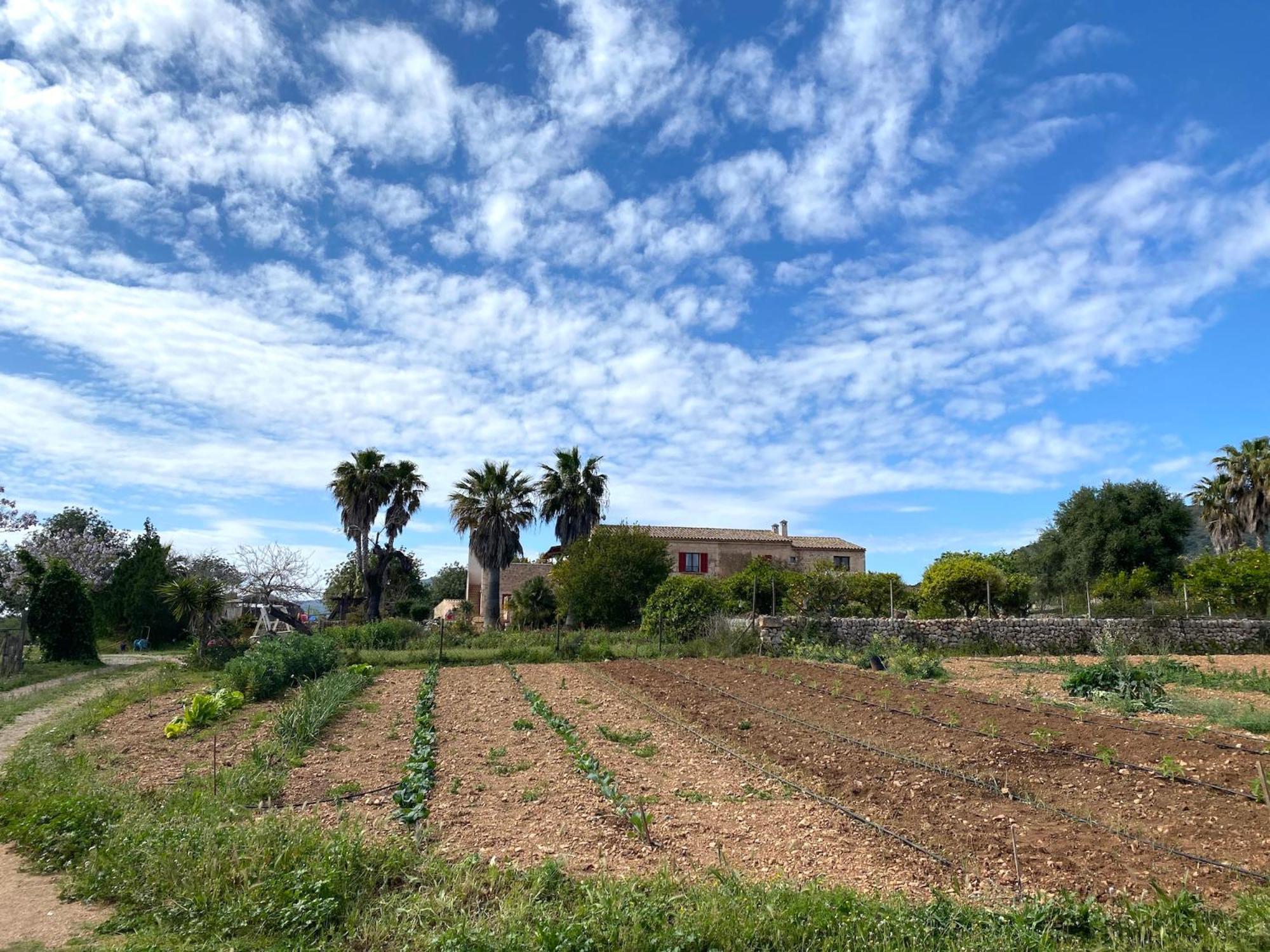 Ses Cases Noves Sant Llorenc Des Cardassar