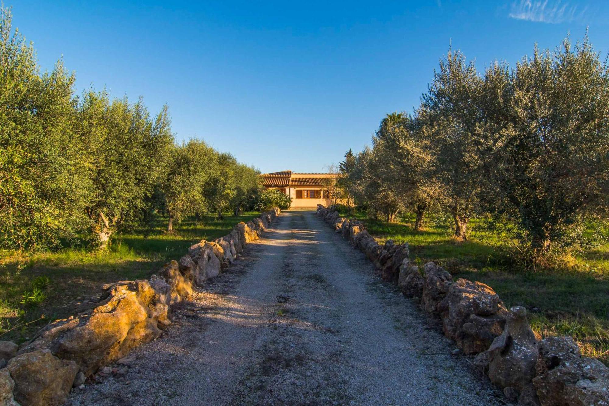 Vobis Villa Puerto Pollensa
