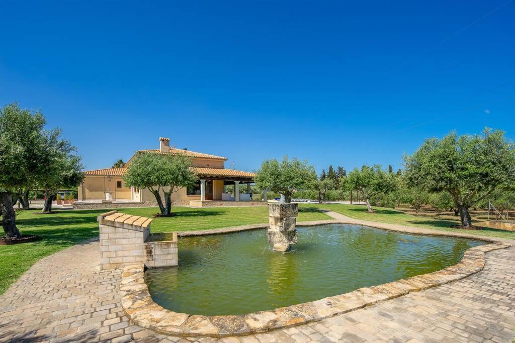 Villa Moderne Finca, Alleinlage, 15min Zum Playa Del Muro *