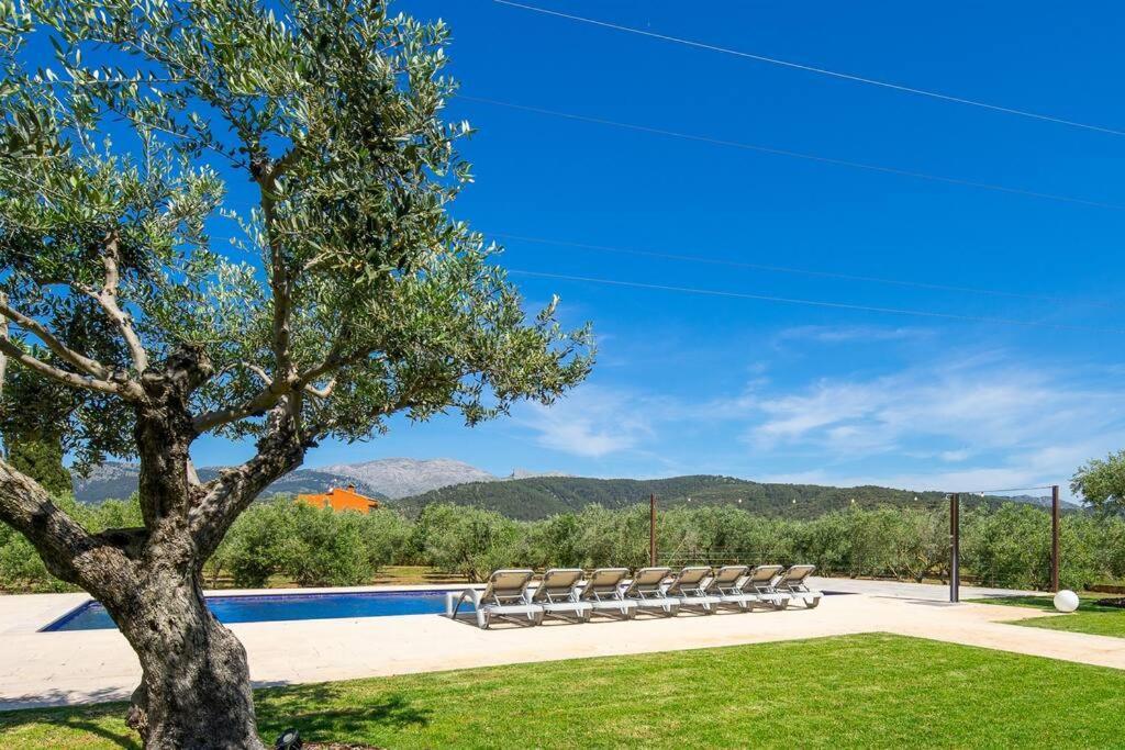 Moderne Finca, Alleinlage, 15min Zum Playa Del Muro