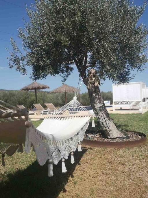 Moderne Finca, Alleinlage, 15min Zum Playa Del Muro