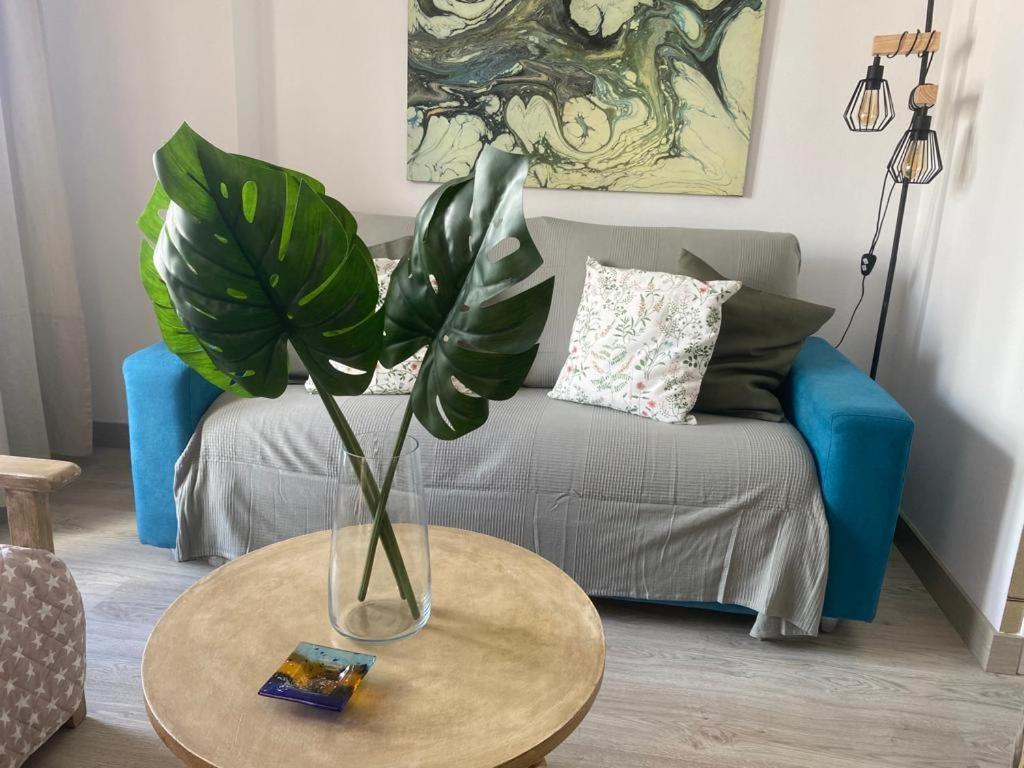 Rotonda Apartamento Fenalitx (Fenalich)