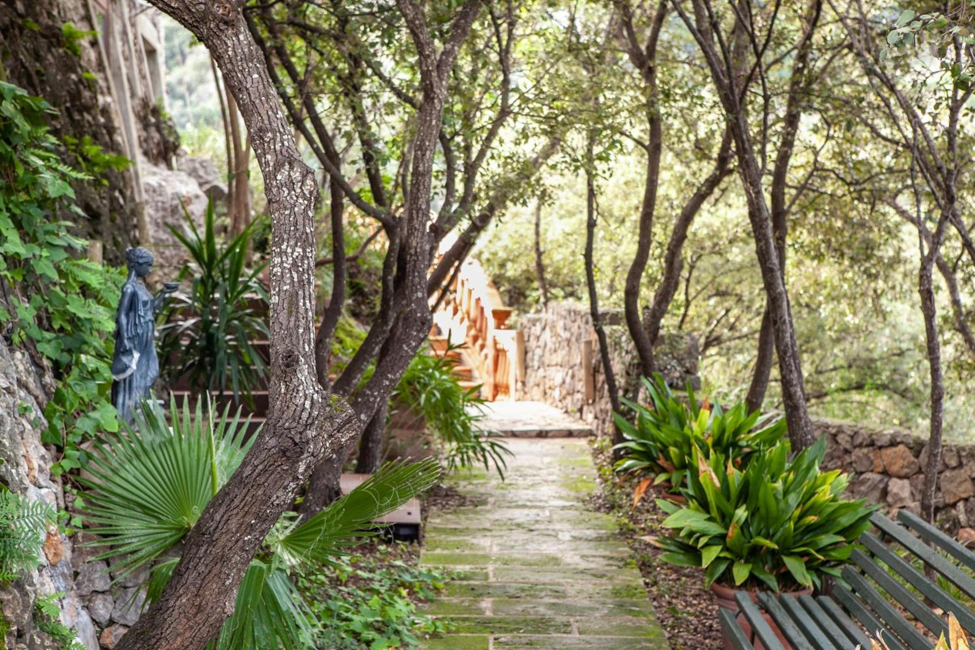 - The New Brand By It Mallorca Hotel Valldemossa (Mallorca)