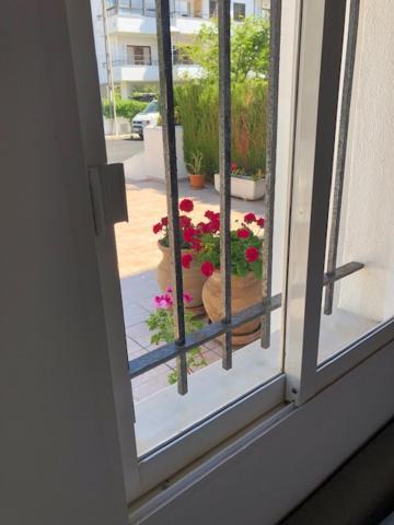Apartamento Alexia - Brisa - Puerto Pollensa. *