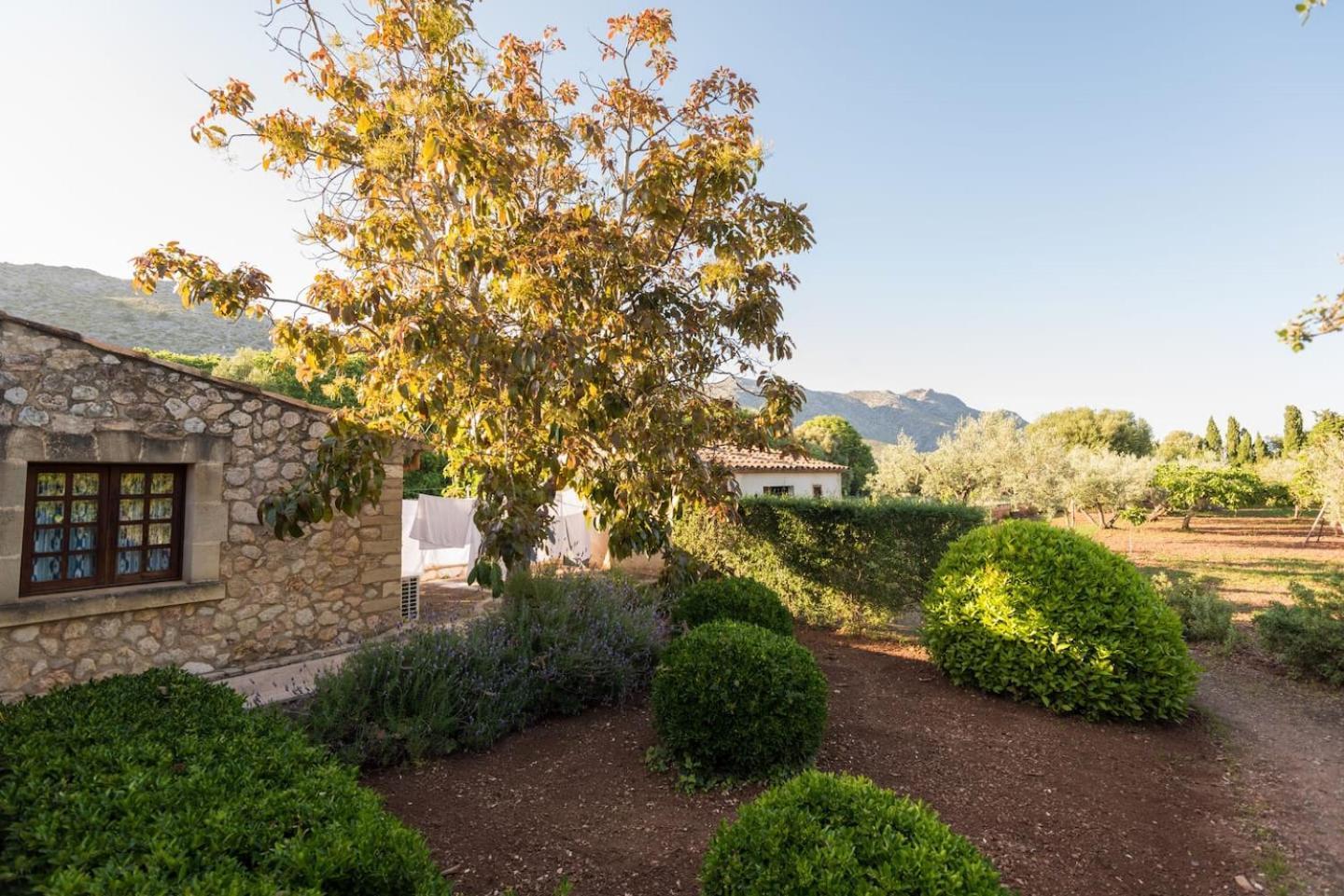 Cuixach In With Wifi Pollensa
