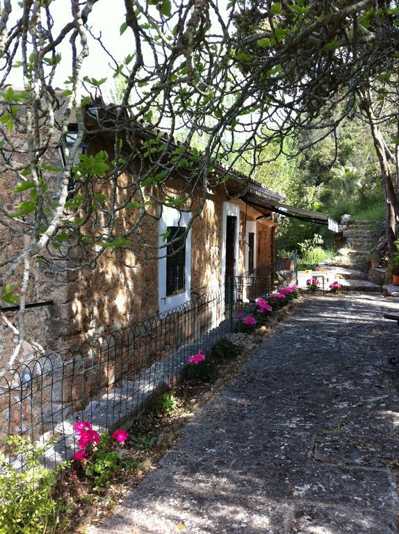 Sa Capsana Villa