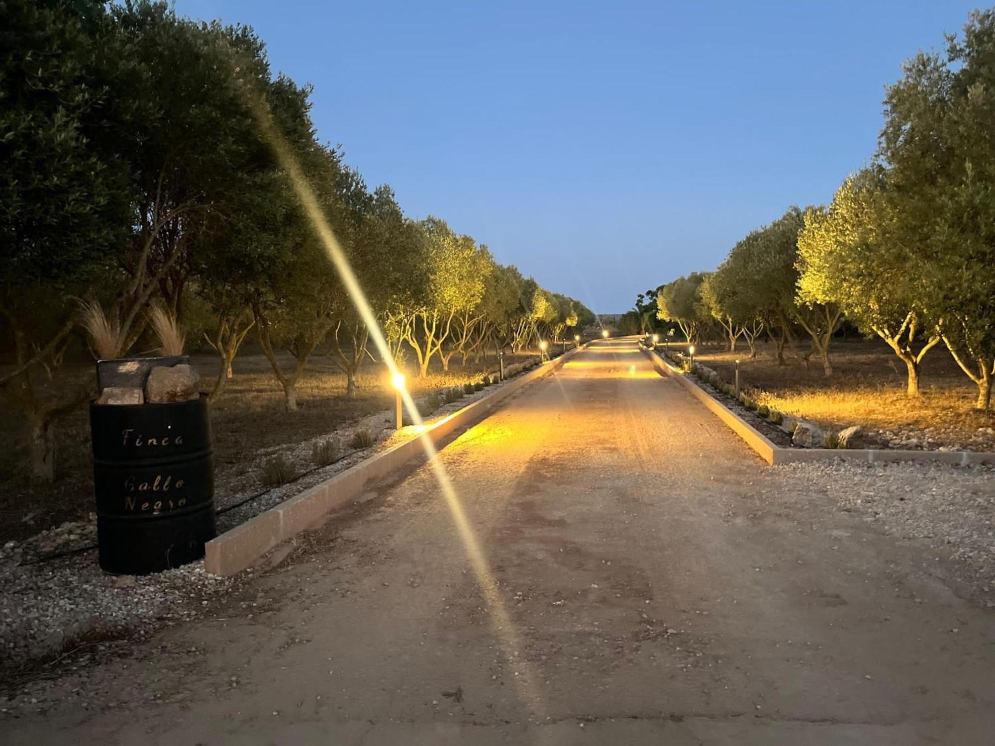 Villa Mallorca 19 Km Montuiri Gallo Negro Santanyi Gesamte Social Media
