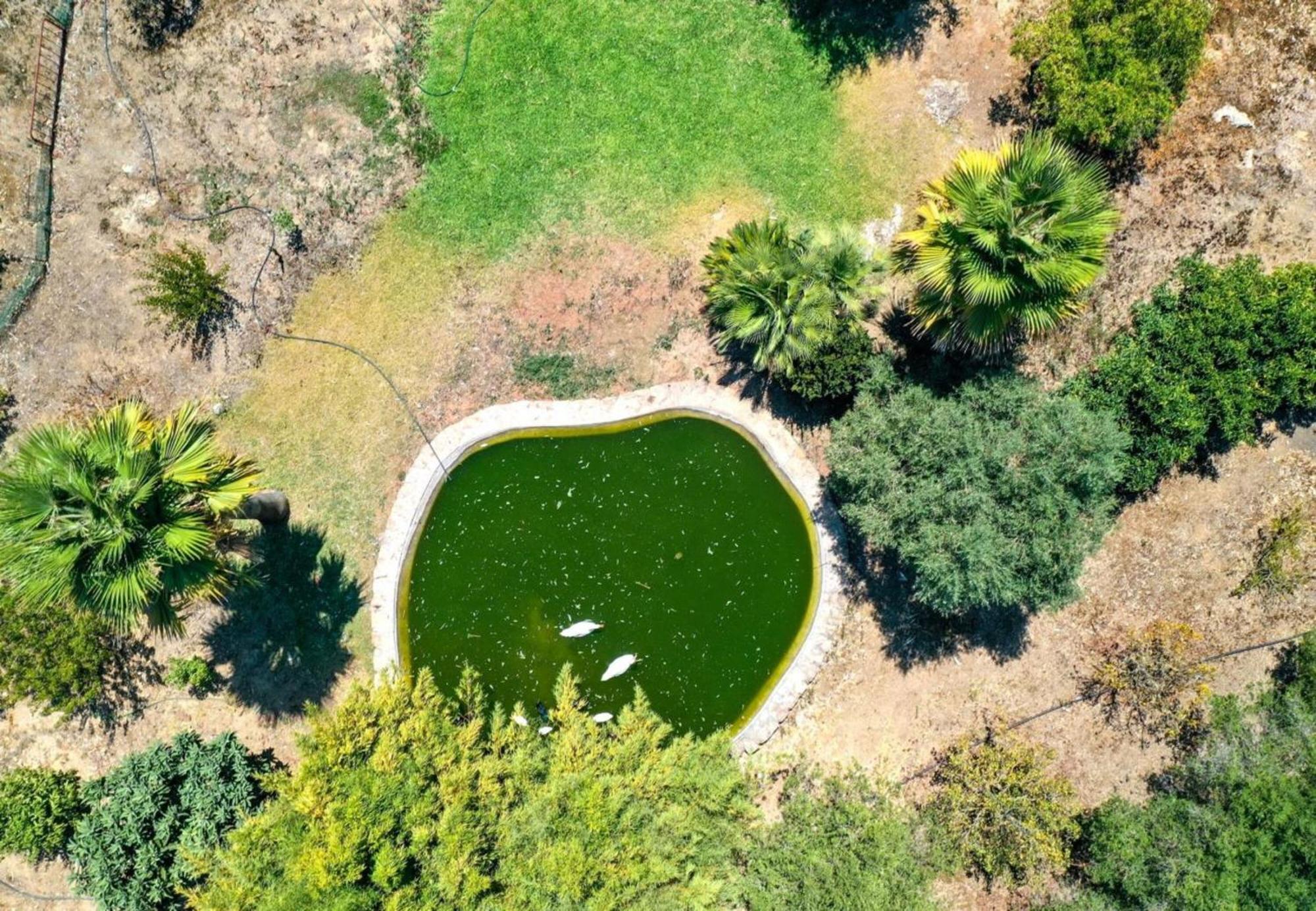 Wonderful Mallorca - 4 Bedrooms - Treasure - Private Pool And Quiet Location - Villa *