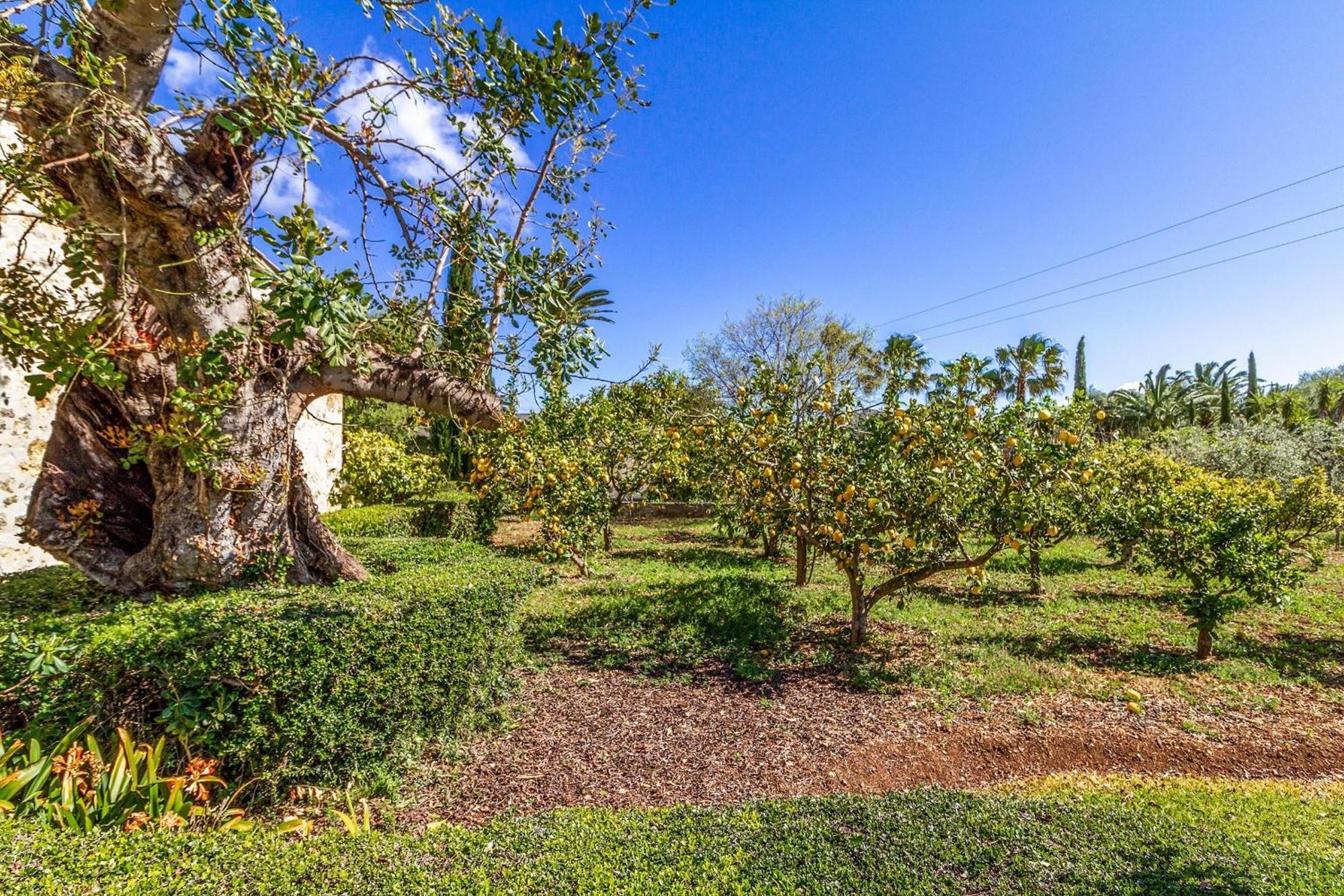 Villa Traditional 3 Bedrooms Rellafonta Mountain Views Short Drive To Town