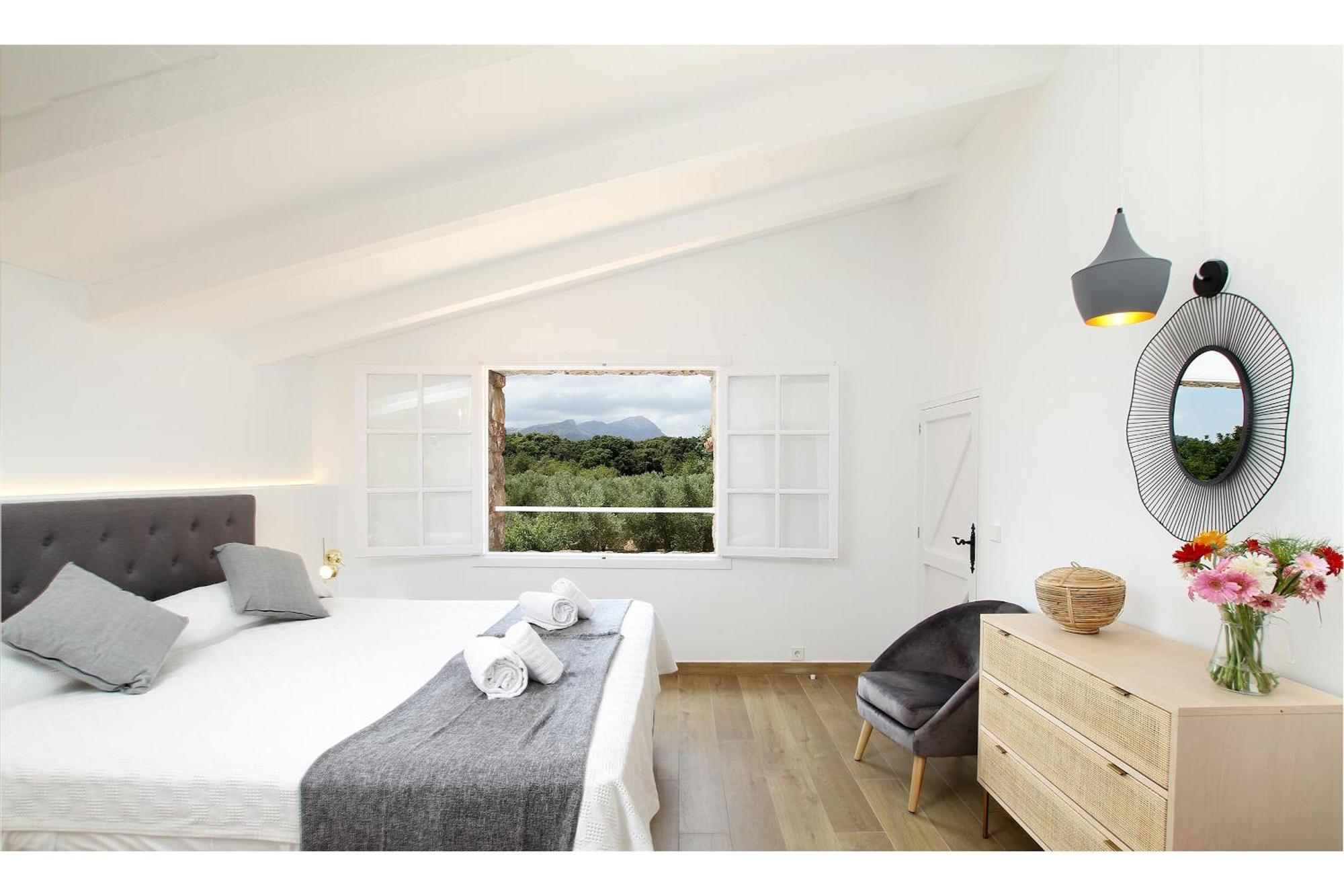 Encinas Mallorca Pollensa
