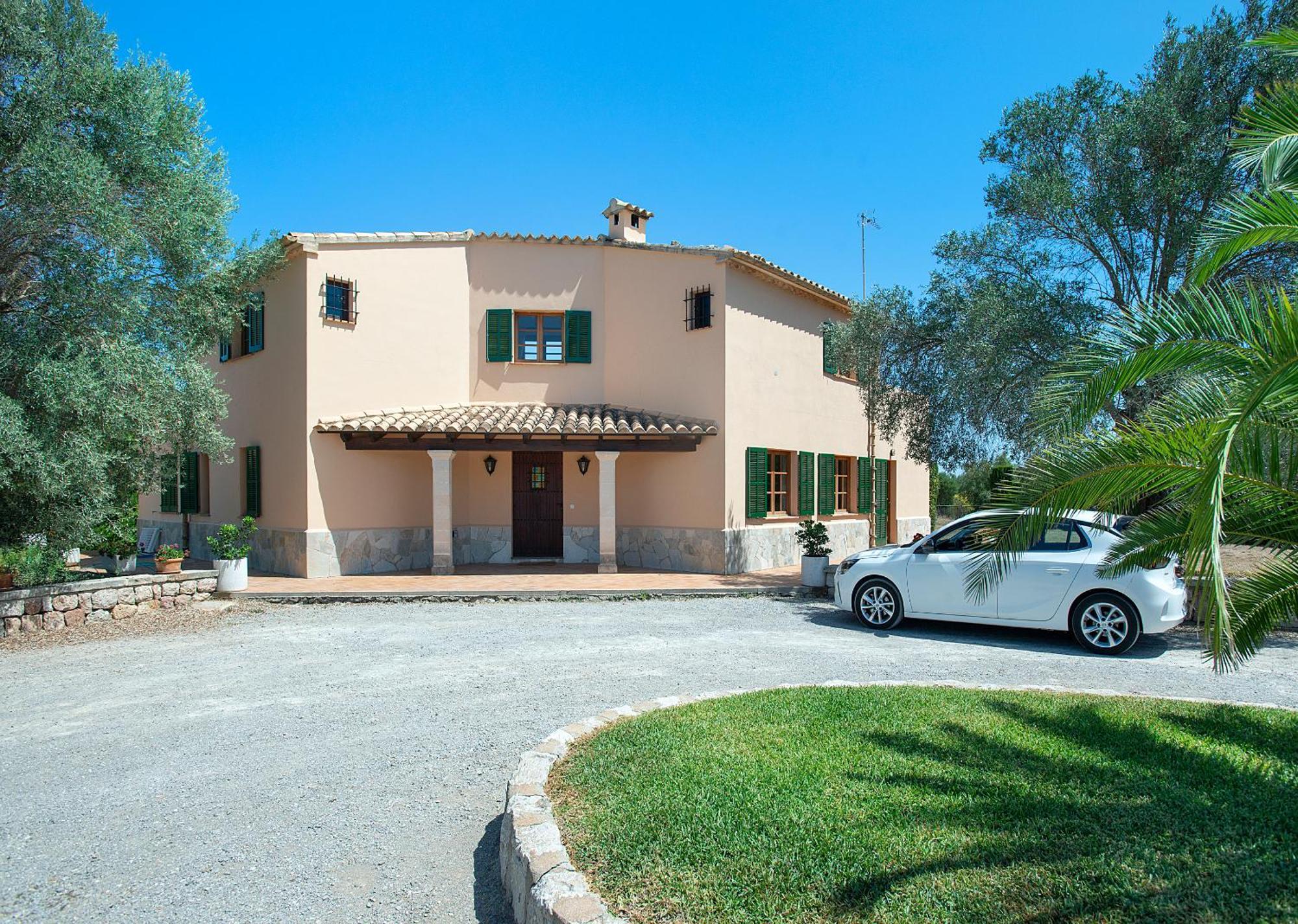 Owl Tia - Exclusive Holidays * Puerto Pollensa