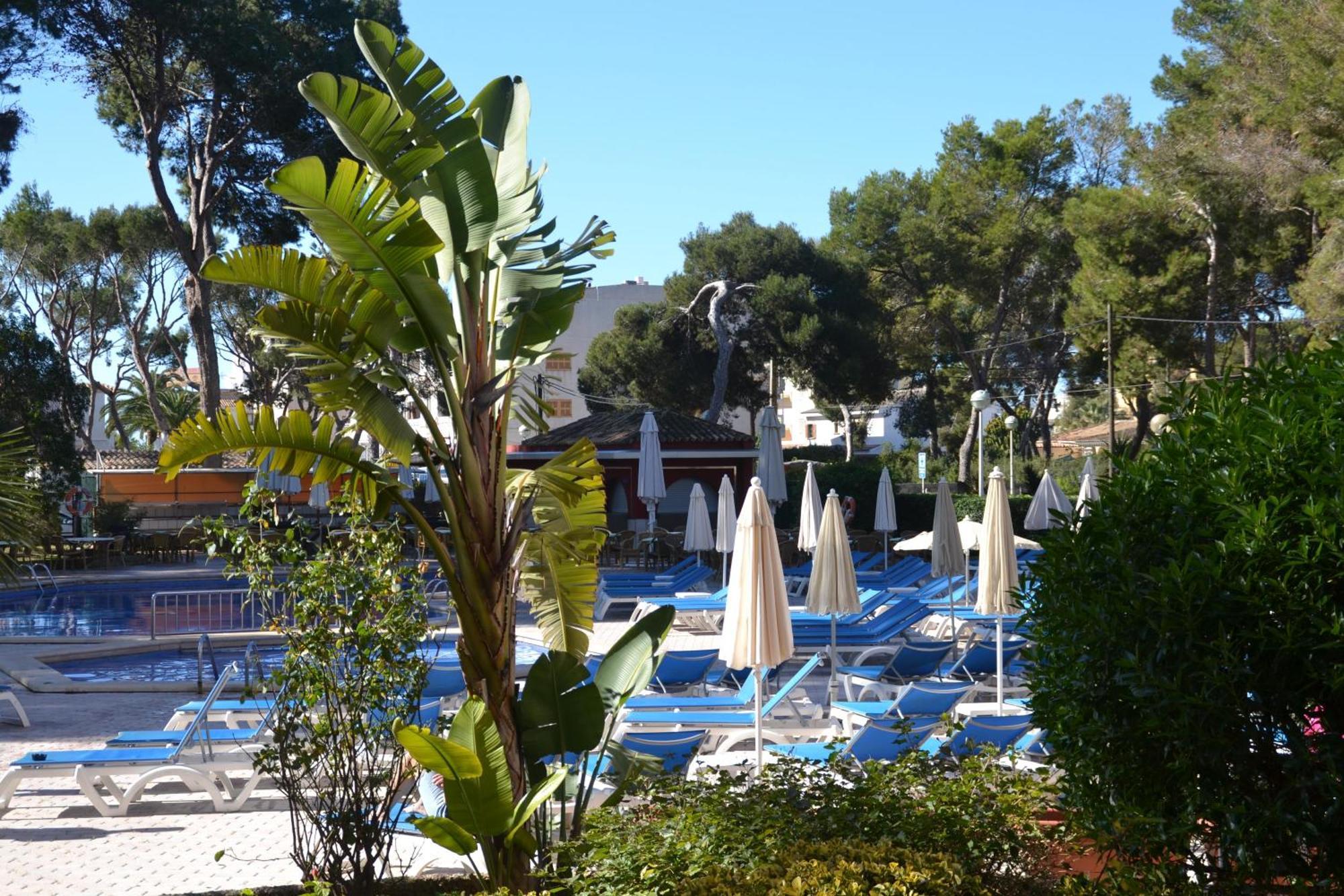 Pabisa Sofia Hotel 4*