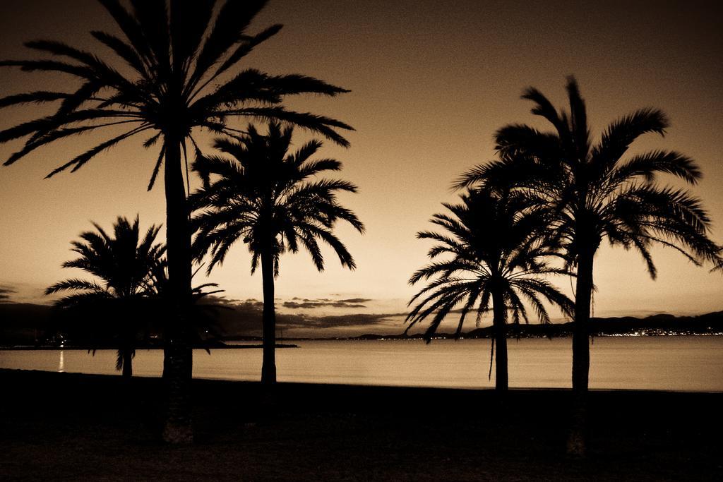 Hotel Gracia El Arenal (Mallorca)