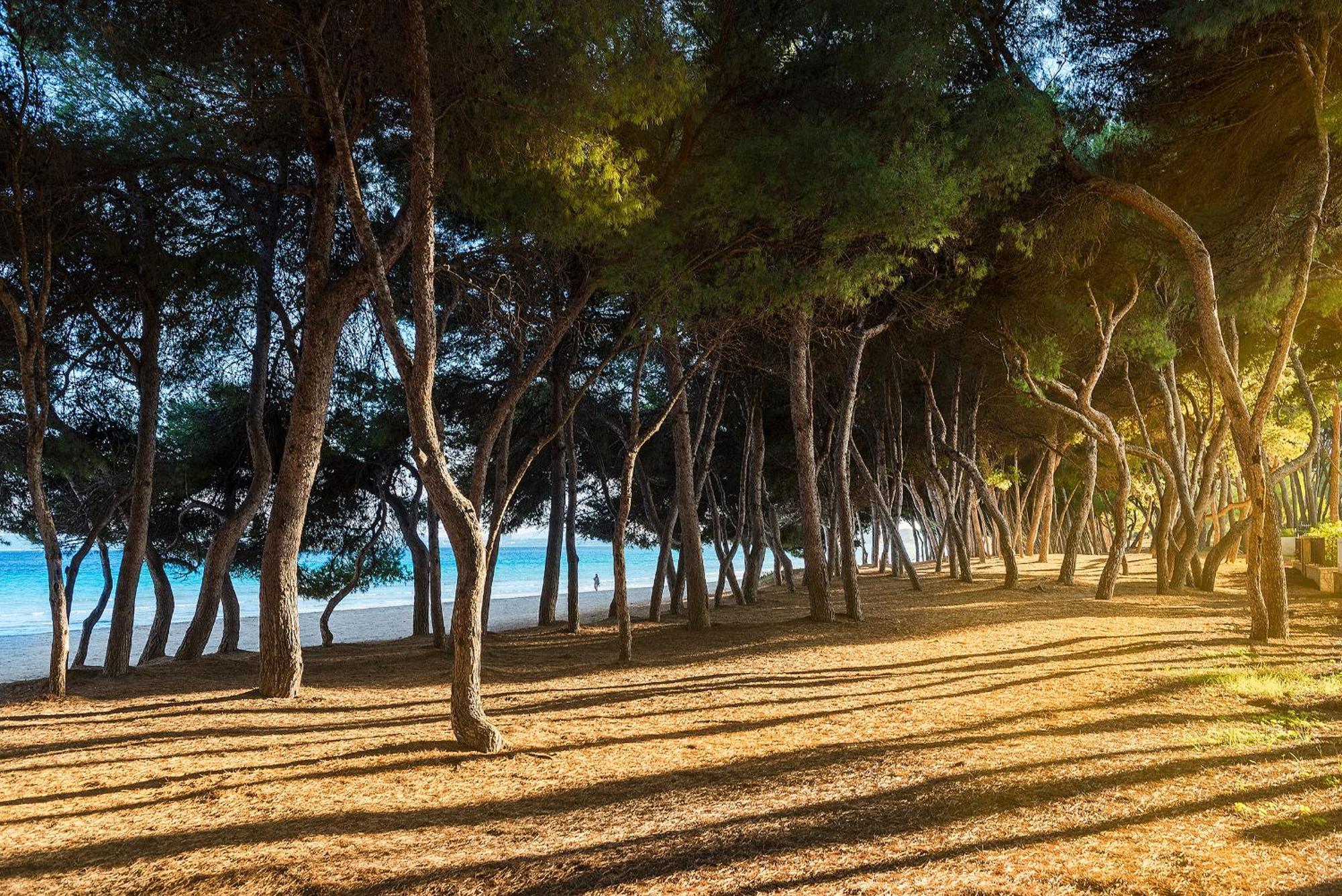 Mediterrania I By Esteva Emerald * Alcúdia