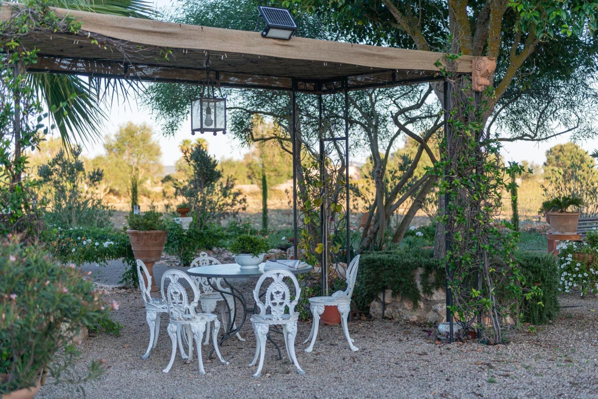 Banc Doli Villa Manacor (Mallorca)