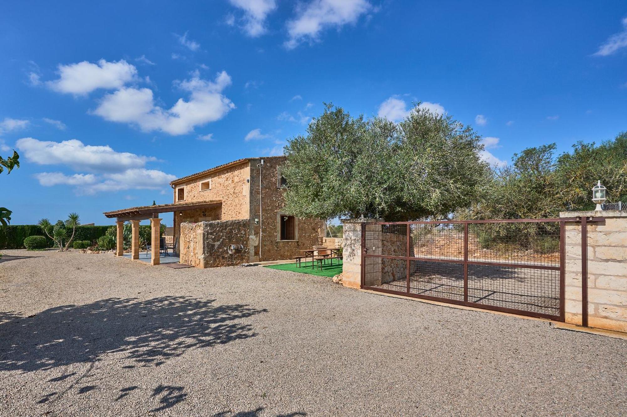 Barralina Campos (Mallorca)