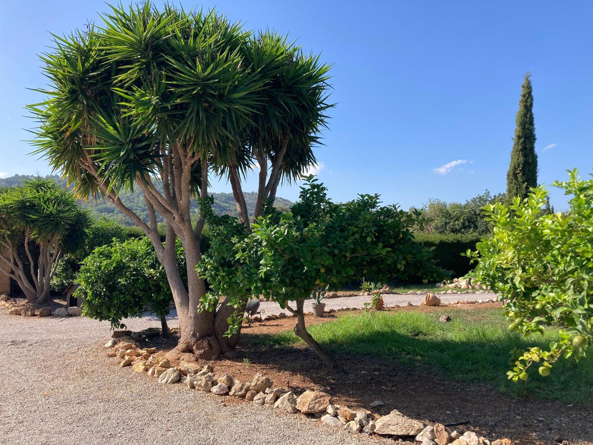 Casa Eden With Private Pool Villa Artà
