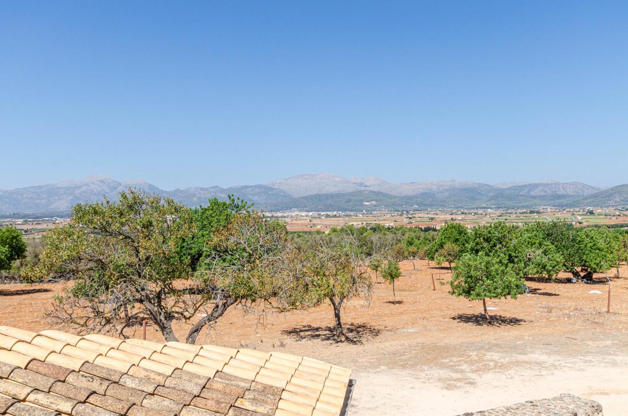 Yourhouse Es Fiters Villa *