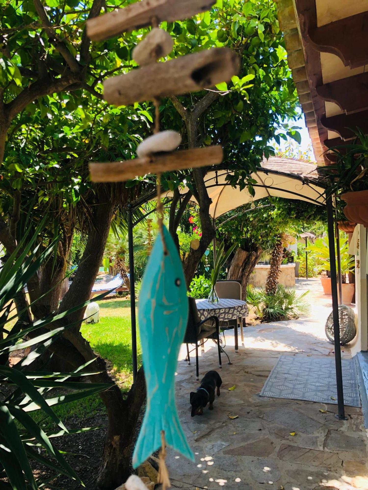 Casita Limon *