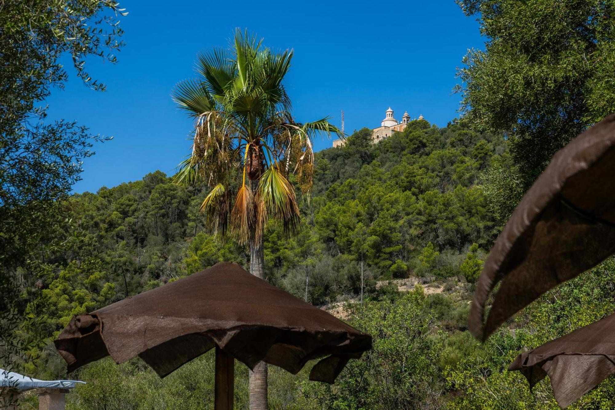 Apartamento Es Forn Petra (Mallorca)