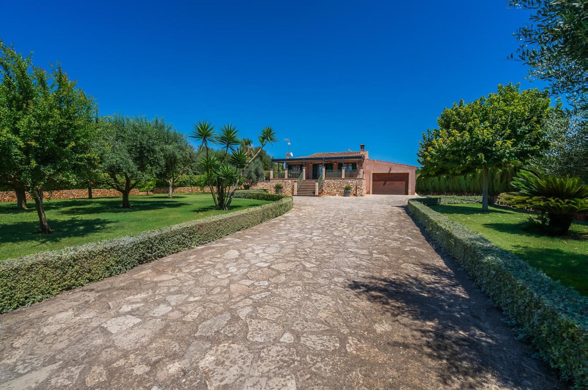 Ideal Mallorca - Son Frau Manacor (Mallorca)