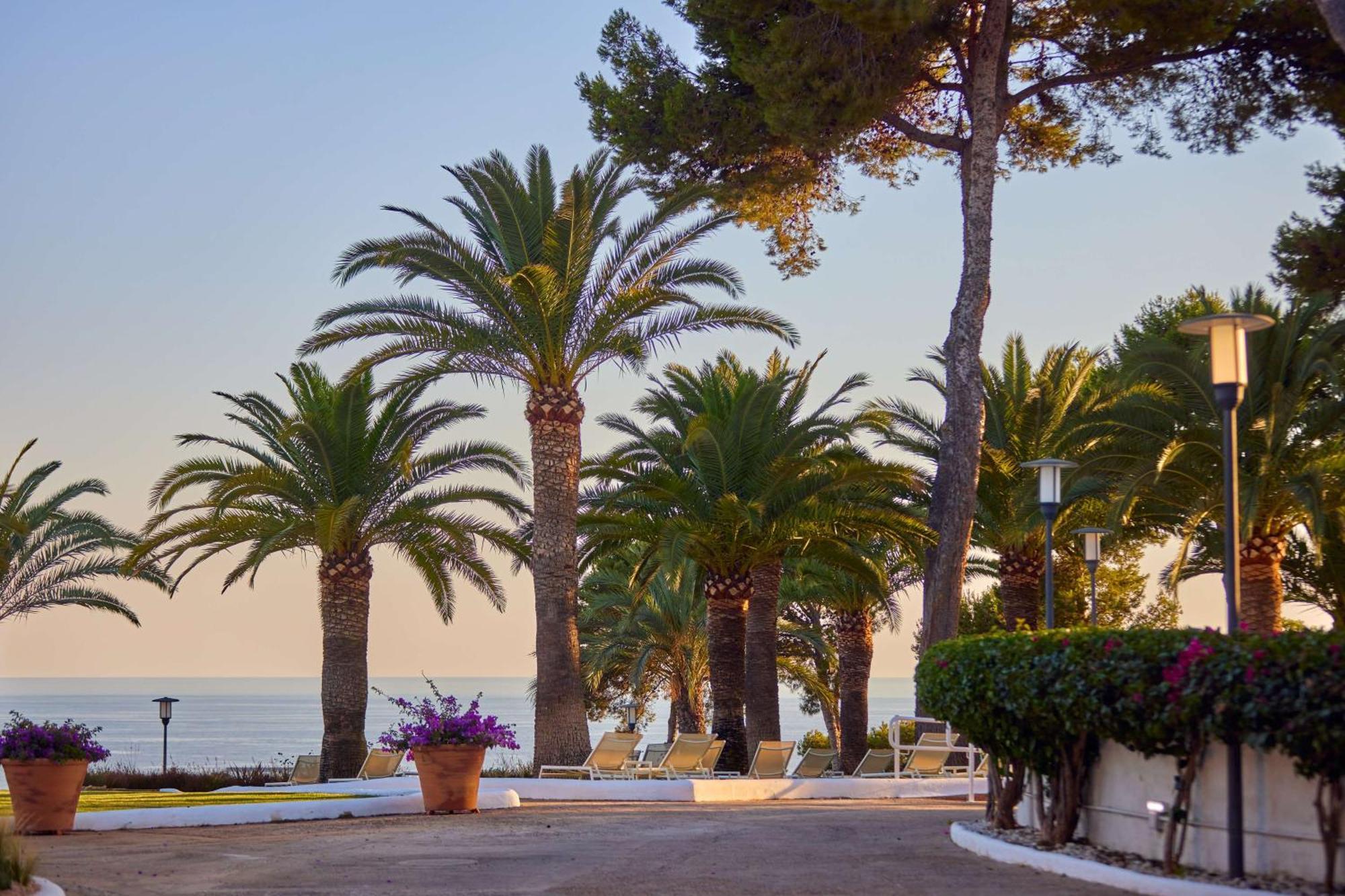 Hotel Hilton Mallorca Galatzo Peguera