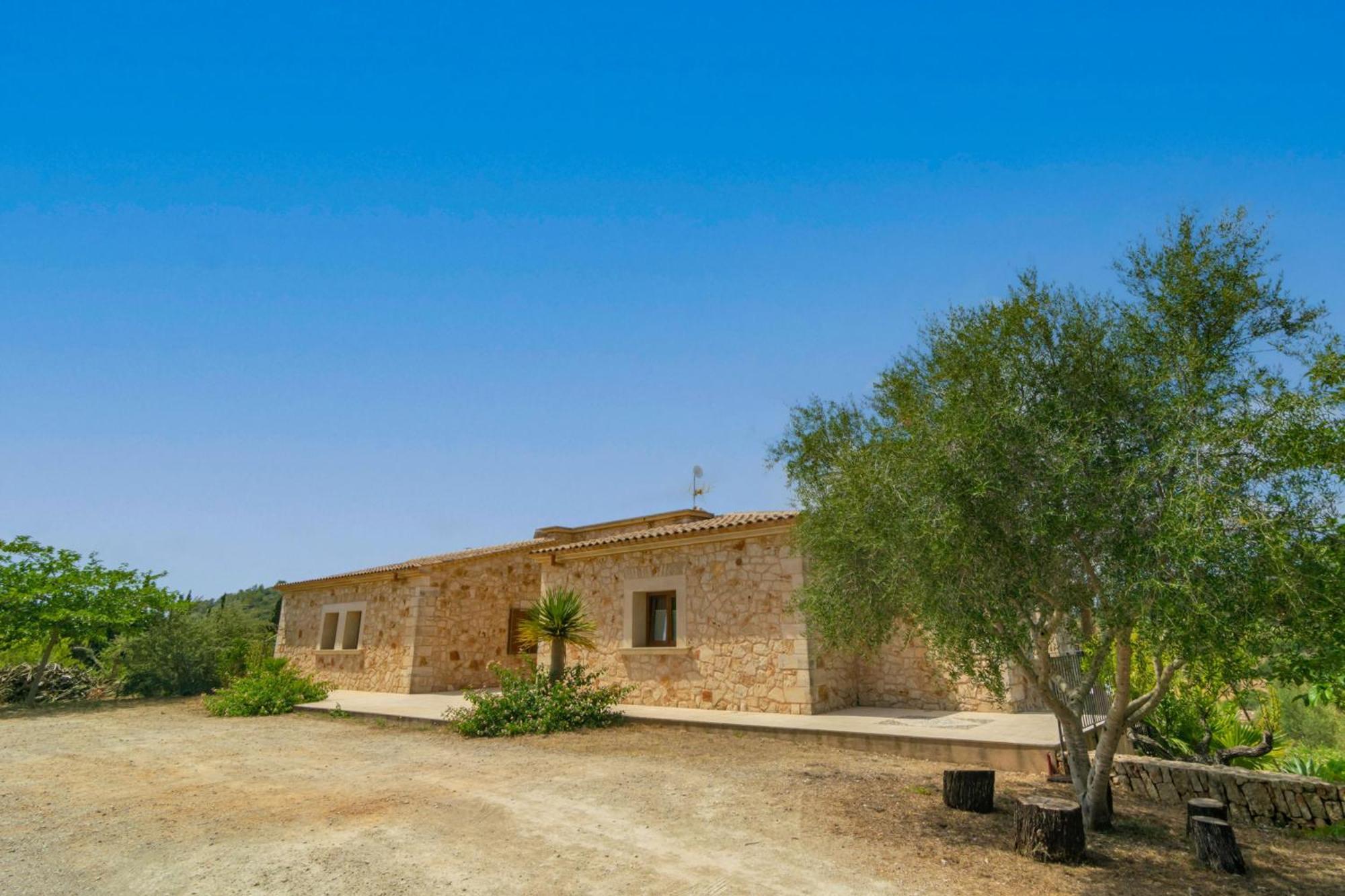 S'albarcoquer Fenalitx (Fenalich)
