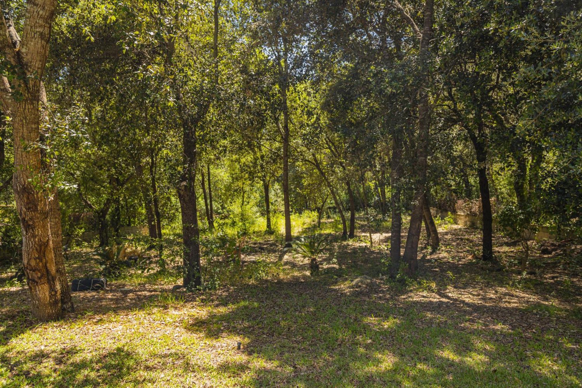Anamsa Villa Crestatx