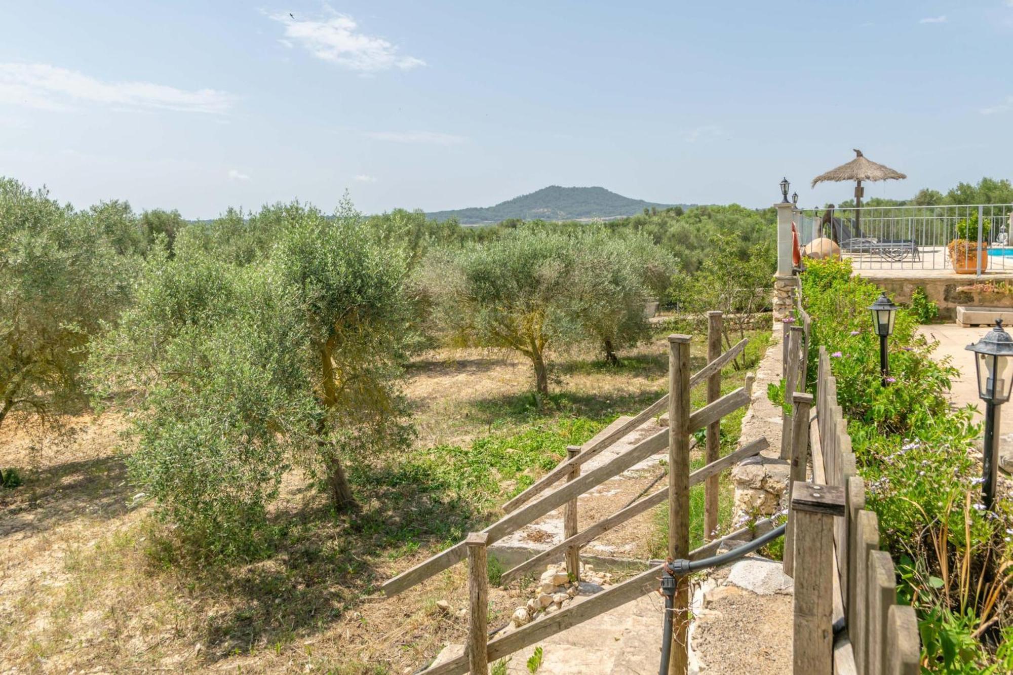 Villa Son Puca Petra (Mallorca)