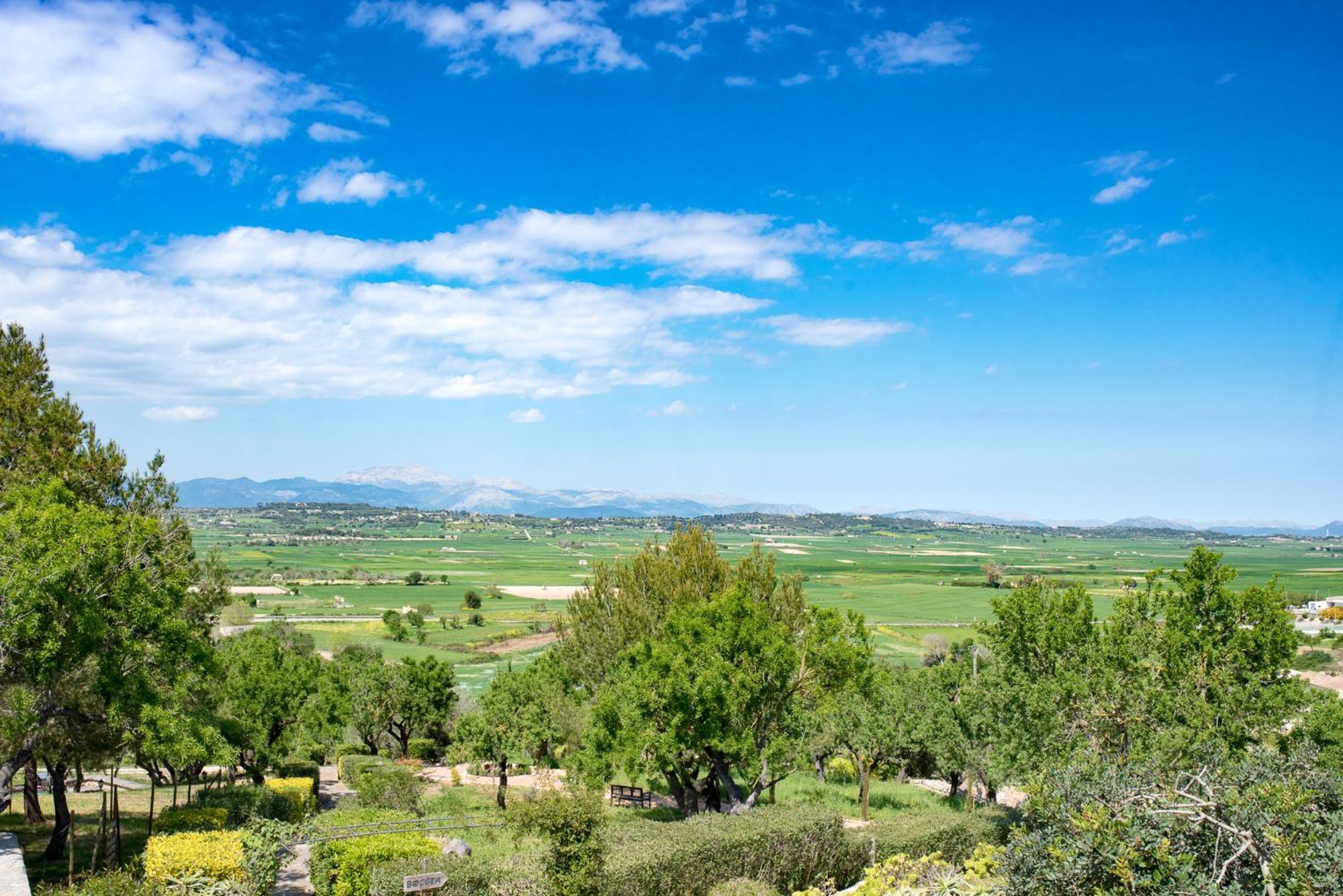 Casa Font I Roig 4* María de la Salud