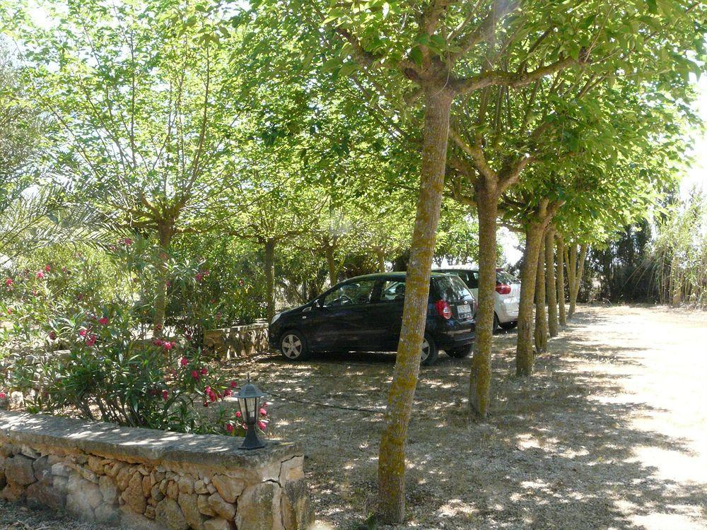 Hotel Es Palmer Campos (Mallorca)