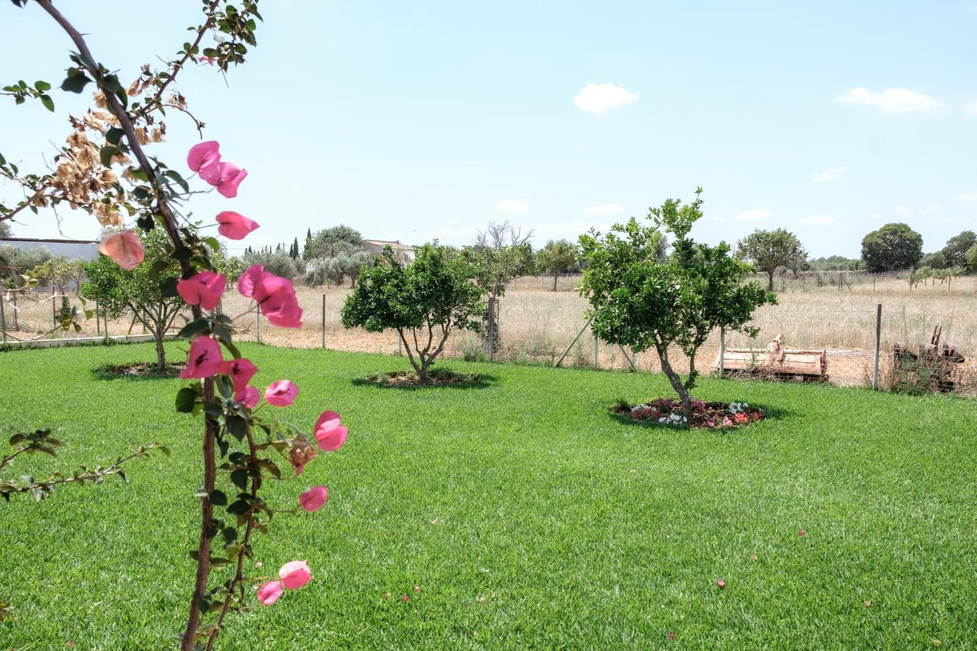 Bonita Sa Vinya Relax Y Piscina Privada Сasa de vacaciones *