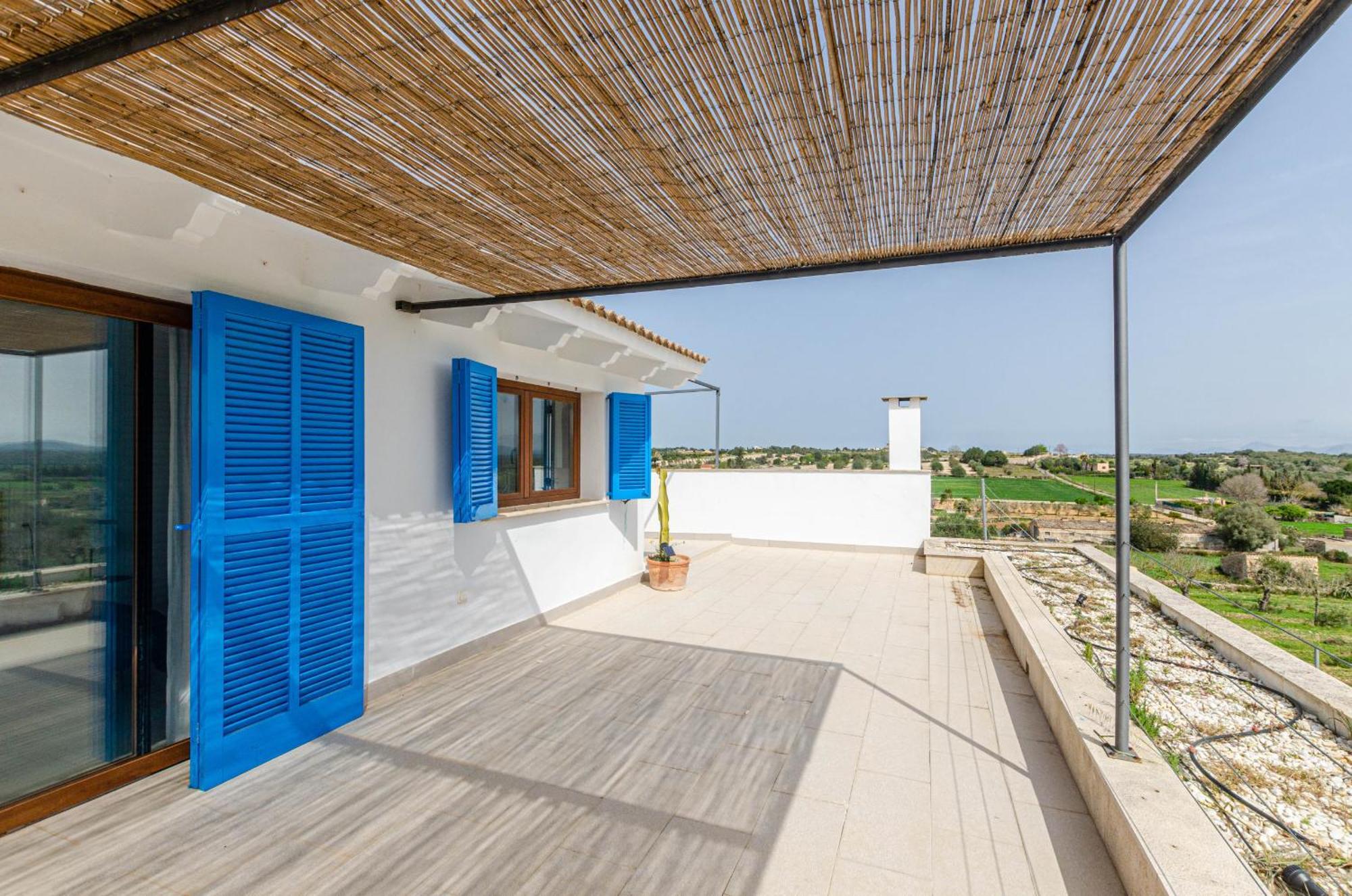 Yourhouse Carrera Plana *